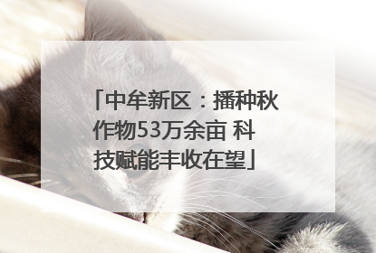 中牟新区：播种秋作物53万余亩 科技赋能丰收在望